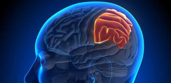 دراسة تؤكد: أورام الدماغ أكثر أنواع السرطانات فتكًا