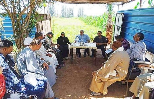 زراعة الشرقية تنظم ندوة إرشادية حول محصول الأرز وترشيد المياه