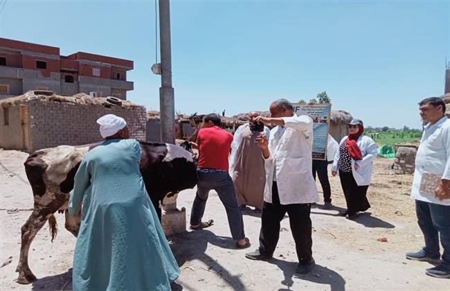 تحصين 18290 رأس ماشية ضد مرض الحمى القلاعية و الوادى المتصدع