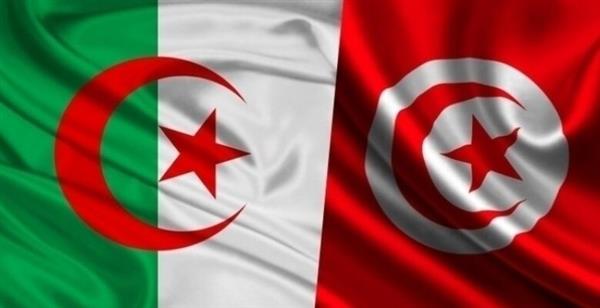 فتح الحدود البرية بين تونس والجزائر أمام حركة المواطنين من الجانبين