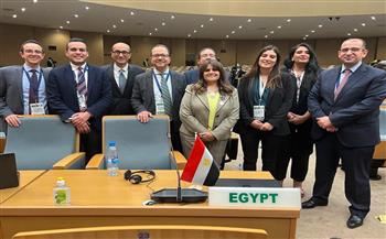   مصر تشارك في المجلس التنفيذي للاتحاد الإفريقي بالعاصمة الزامبية لوساكا