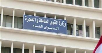 "القوى العاملة": توفير 17 فرصة عمل في مجال الزراعة بالوادي الجديد