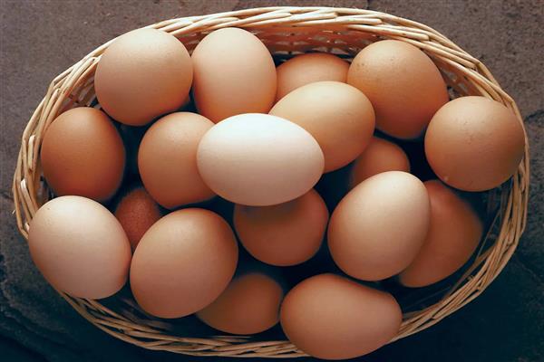 المنوفي: بيض المائدة يواصل ارتفاعاته الجنونية والطبق يسجل 75 و77 جنيها