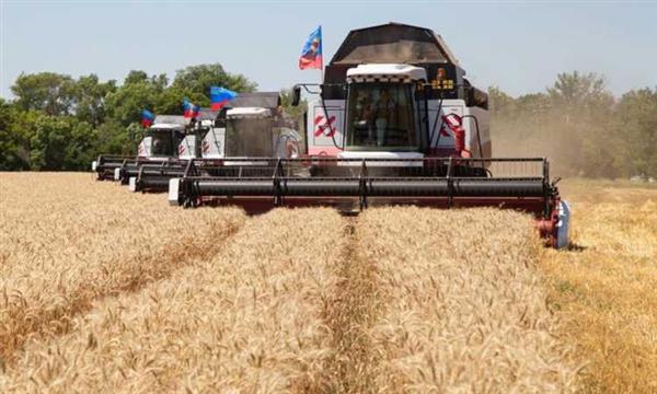وثيقة أوروبية: الأزمة الروسية الأوكرانية أدت لارتفاع تكاليف الإنتاج الزراعى