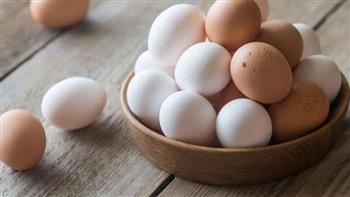   منتجي الدواجن: تكلفة انتاج البيض مرتفعة وغير وارد انخفاض أسعاره