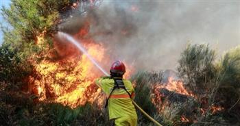   موجة حر شرسة تتجه شمال أوروبا وحرائق الغابات 