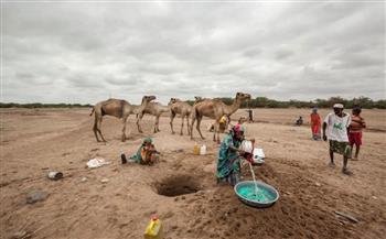   بريطانيا تؤكد عزمها دعم الصومال في مواجهة الجفاف