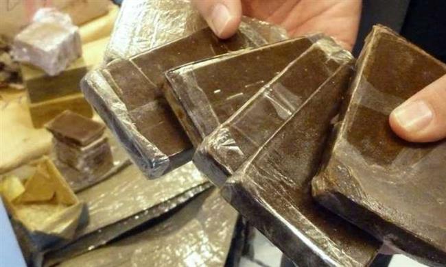 ضبط طن مخدرات وترسانة أسلحة داخل مزرعة بالإسماعيلية