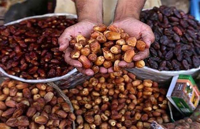 أسوان تنتظر حدثًا تاريخيًا أكتوبر المقبل