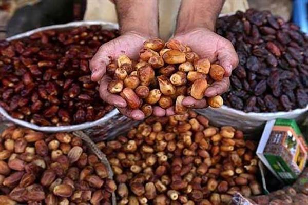 أسوان تنتظر حدثًا تاريخيًا أكتوبر المقبل