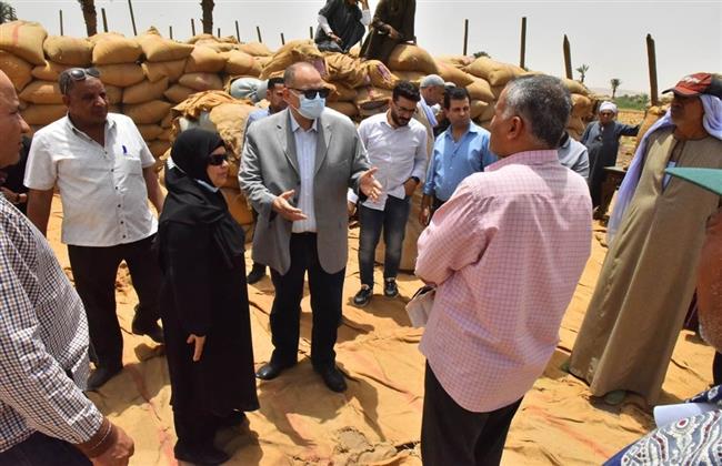 محافظ أسيوط يعلن توريد 169 ألفا و132 طن قمح محلي للشون والصوامع 