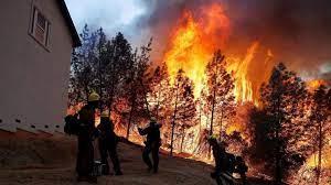 إخماد أكثر من 50 حريق غابات في روسيا