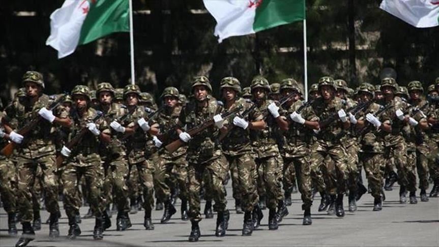 الجيش الجزائري يضبط 246 مهاجرًا غير شرعيا