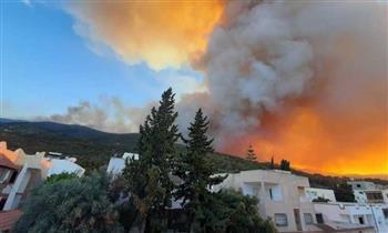 الجزائر ترسل دعما فوريا إلى تونس