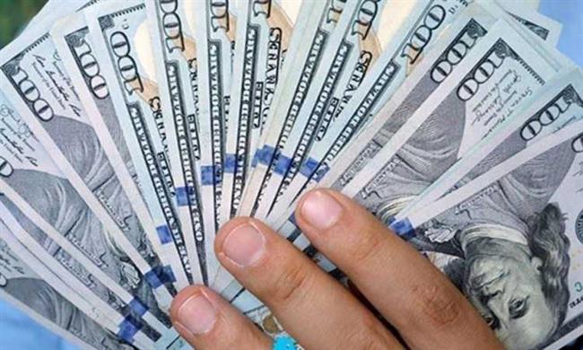 سعر الدولار فى البنوك اليوم