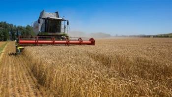   موسكو تطالب الأمم المتحدة بالتدخل لتسهيل تصدير الحبوب الروسية
