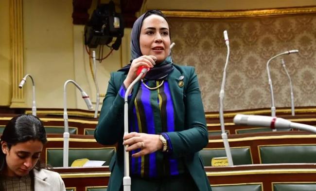  زيارة ميدانية برلمانية لمستشفى العلمين النموذجي بالإسكندرية 