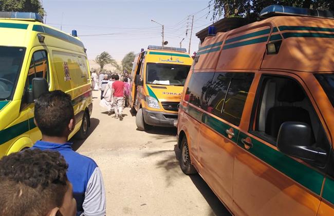 عقرب يتسبب في إنهاء حياة ربة منزل بقنا