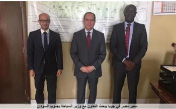   دفع التعاون في مجال السياحة بين مصر وجنوب السودان