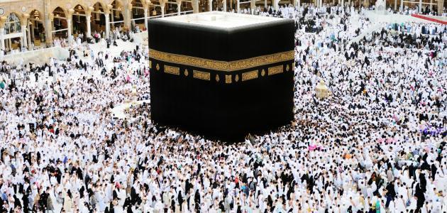 من 30 يوليو.. السعودية تتيح حجز مواعيد العمرة عبر تطبيق «اعتمرنا»