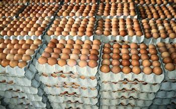 وزير الزراعة يعلن سعر كرتونة البيض فى الأسواق