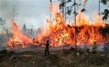   إجلاء الآلاف مع انتشار حريق غابات بـ«كاليفورنيا» الأمريكية 