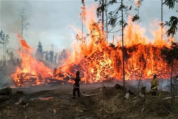 إجلاء الآلاف مع انتشار حريق غابات بـ«كاليفورنيا» الأمريكية
