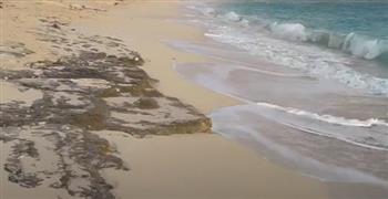   أحمد موسى منفعلًا: الكتل الصخرية في البحر تهدد شواطئ الساحل الشمالي