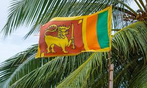   سريلانكا تفرض قيودًا على واردات الوقود طوال الأشهر الـ12 القادمة لتخفيف الأزمة الاقتصادية