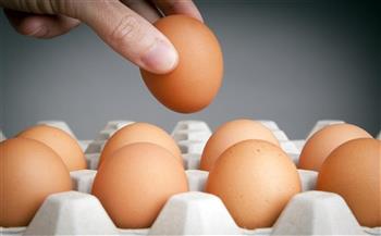   الزراعة: تراجع أسعار البيض بالبورصة ونطرحها فى المنافذ بسعر مخفض