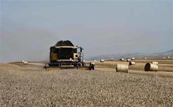   وفقا لاتفاقات إسطنبول.. أوكرانيا ستبدأ تصدير الحبوب عبر موانئ البحر الأسود