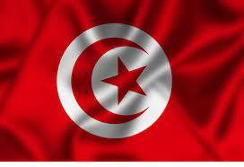   وزارة الدفاع الوطني التونسية: القبض على 4 مهاجرين غير شرعيين بالبحر 