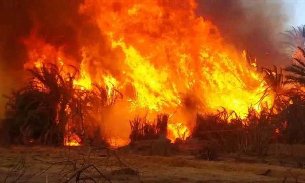 محافظ الوادى الجديد: السيطرة على حريق قرية الراشدة