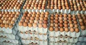  بسعر 65 جنيها للطبق.. التموين: استمرار طرح البيض بمنافذ المجمعات الاستهلاكية