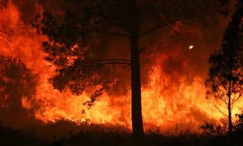  إسبانيا تعلن القبض على المتهم بالتسبب فى حرائق الغابات