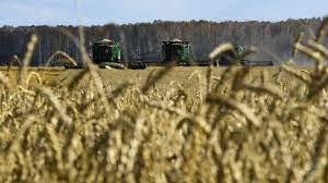   أمريكا: هل تصدير الحبوب الأوكرانية سيساهم في تخفيض أسعار الغذاء في العالم؟