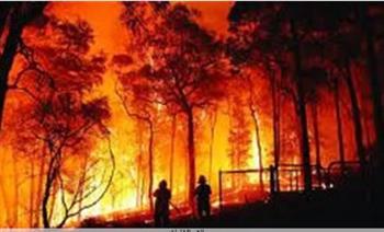   رجال الإطفاء يكافحون حرائق الغابات في إسبانيا واليونان والمملكة المتحدة.. فيديو