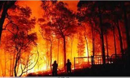 رجال الإطفاء يكافحون حرائق الغابات في إسبانيا واليونان والمملكة المتحدة.. فيديو