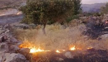   تحت حماية إسرائيلية.. مستوطنون يوقدون النيران فى مزارع الفلسطينيين
