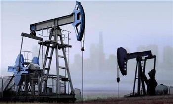   خبير النفط العالمي: العالم مقبل على أزمة كبرى شديدة الخطورة 
