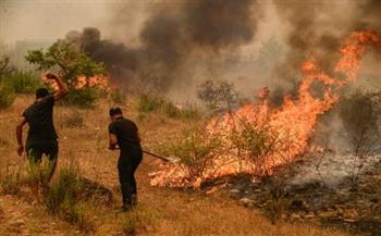   المفوضية الأوروبية تُعزز مشاركتها فى جهود مكافحة حرائق الغابات فى التشيك