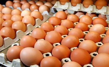   الزراعة: سعر طبق البيض للمستهلك 60 جنيها