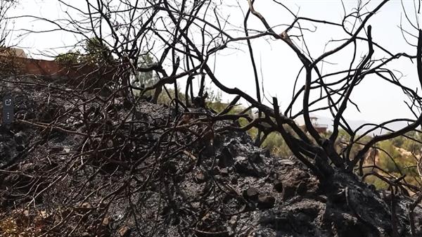 شمال المغرب يتعرض لأكبر حادثة حريق