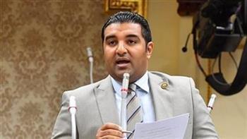 برلماني: خلط البرجر واللانشون بلحوم الحمير يسبب السرطان