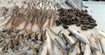   خطة النواب: الحكومة تستهدف زيادة الإنتاج السمكي لـ3.5 مليون طن بالموازنة الجديدة