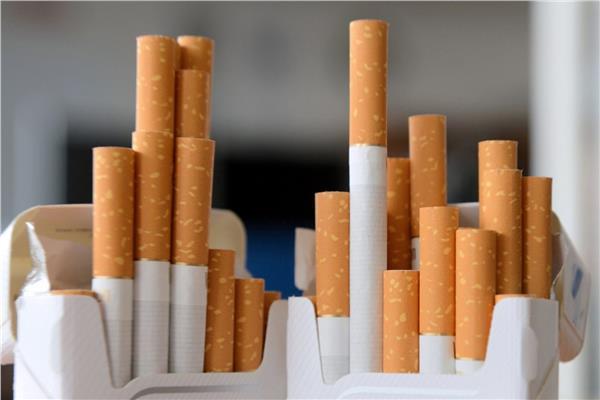 «شعبة الدخان»: ارتفاع أسعار السجائر أمر لا جدال فيه