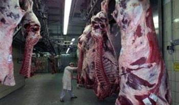   قبل العيد بساعات.. استمرار الحملات الرقابية على ثلاجات اللحوم والمواد الغذائية بالإسكندرية    