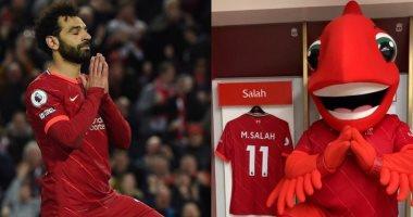   تميمة ليفربول تحتفل بتجديد عقد النجم المصرى محمد صلاح مع الريدز
