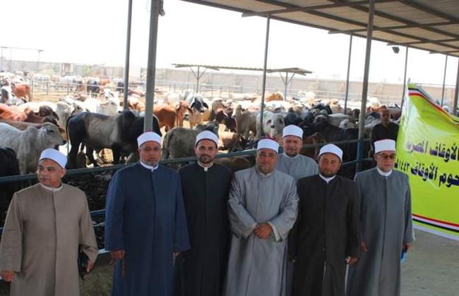 «أوقاف الإسماعيلية»: استلام رؤوس أضاحي الأوقاف البلدية والسودانية
