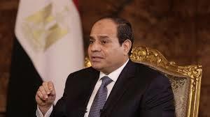   الرئيس السيسي: 3 يوليو يعد يوما فارقا في تاريخ مصر